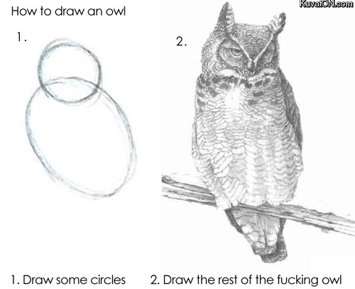 how_to_draw_an_owl.jpg.270f2ed63211c3c039f7f6eb846f4865.jpg