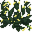 Nettleplant.png