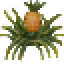 Pineappleplant.png