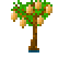 Cocoapodtree.png